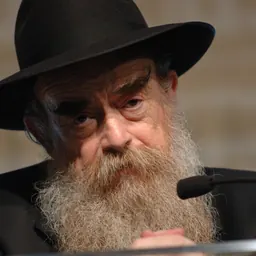 Portrait of Abraham Shemtov