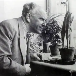 Portrait of Friedrich Adler