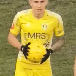 Portrait of Robert Moldoveanu