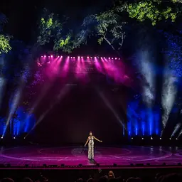 Portrait of Heather Headley