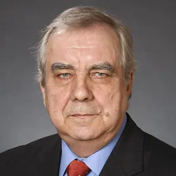 Portrait of Vladimir Velman