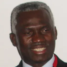 Portrait of Afonso Pedro Canga