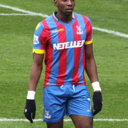Portrait of Yannick Bolasie