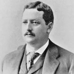 Portrait of Stephen O'Meara