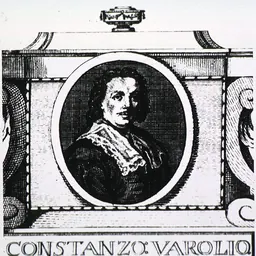 Portrait of Costanzo Varolio