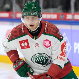 Portrait of Linus Högberg
