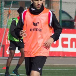 Portrait of Nikola Gulan