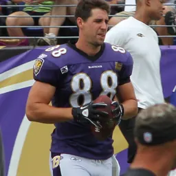 Portrait of Dennis Pitta