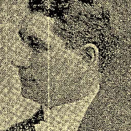 Portrait of W. F. Taylor
