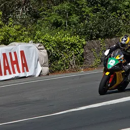 Portrait of Dan Kneen