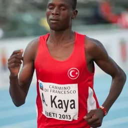 Portrait of Ali Kaya