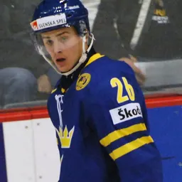 Portrait of Daniel Brodin