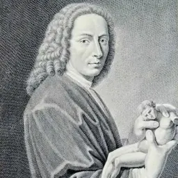 Portrait of Filippo della Valle