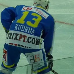 Portrait of Jan Kudrna