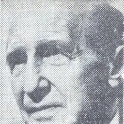 Portrait of D. I. Suchianu