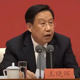 Portrait of Wang Xiaohui