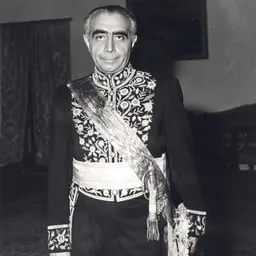 Portrait of Ali Amini