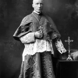 Portrait of James Gibbons