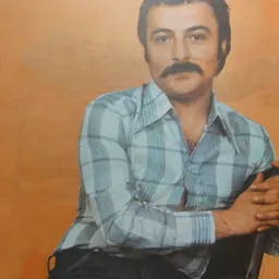 Portrait of Shahrokh