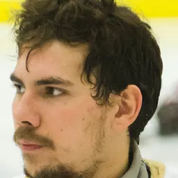 Portrait of Dmitry Lisov