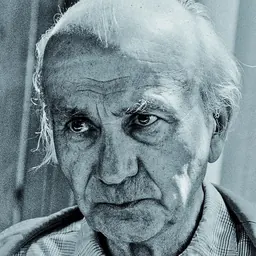 Portrait of Gyula Illyés
