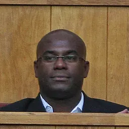 Portrait of Luis Robson