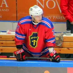 Portrait of Marko Luomala