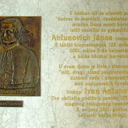 Portrait of Ivan Antunović