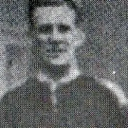 Portrait of Alf Dark