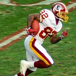 Portrait of Antonio Brown