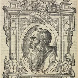 Portrait of Rosso Fiorentino