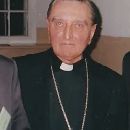 Portrait of Luigi Dossena