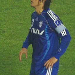 Portrait of Lee Kwan-woo