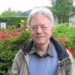 Portrait of David Kinderlehrer