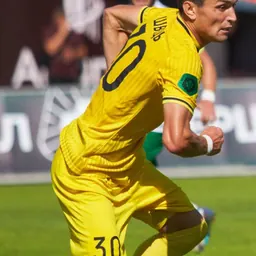 Portrait of Serhiy Shvets