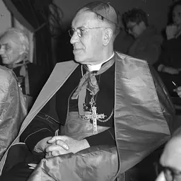 Portrait of Johannes de Jong
