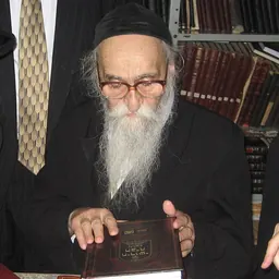 Portrait of Meshulam Dovid Soloveitchik