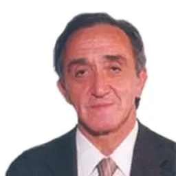 Portrait of Francisco Bayo Veloso