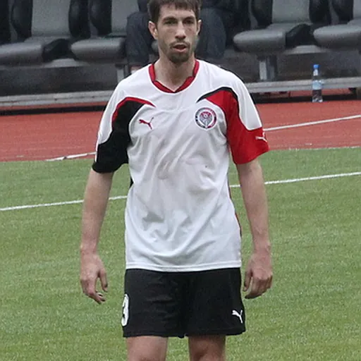 Portrait of Nikola Mijailović