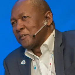 Portrait of Andile Ngcaba