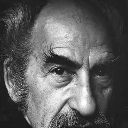 Portrait of Symeon Shimin