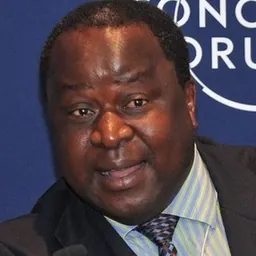 Portrait of Tito Mboweni