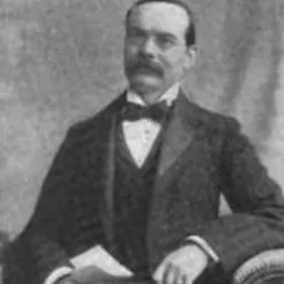 Portrait of Michael MacDonagh