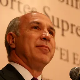 Portrait of Ricardo Lorenzetti