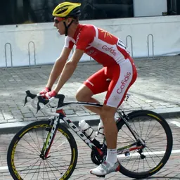 Portrait of Florent Barle