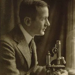 Portrait of Louis Hamman