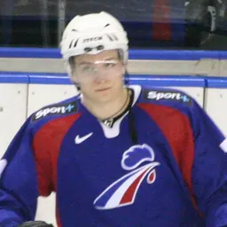 Portrait of Nicolas Besch