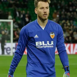Portrait of Neto