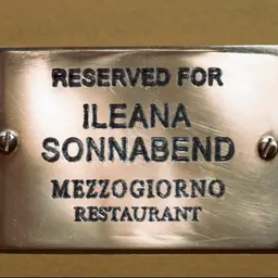 Portrait of Ileana Sonnabend