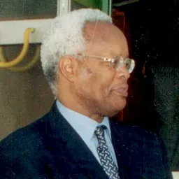 Portrait of Edward Lowassa